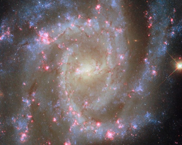 Hubble Observes Noteworthy Nearby Spiral Galaxy