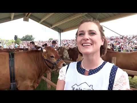bavarian-ox-riders-race-for-victory-|-reuters