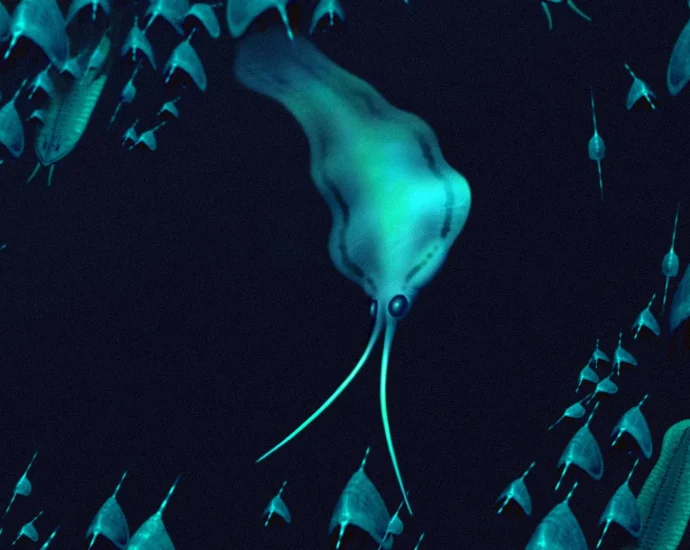 500-million-year-old-“squid”-were-actually-ferocious-worms