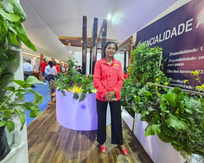 ‘food,-jobs,-hope’:-mozambique-seeks-investment-route-to-economic-recovery
