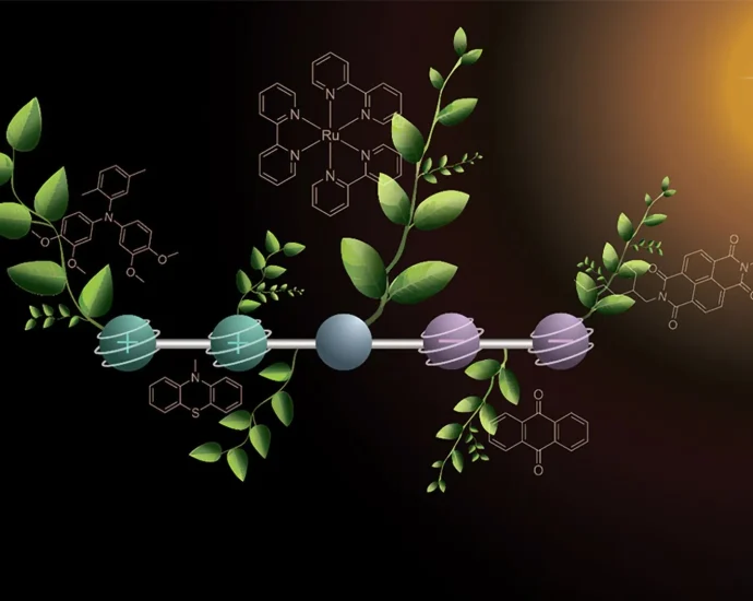 scientists-found-a-new-way-to-turn-sunlight-into-fuel