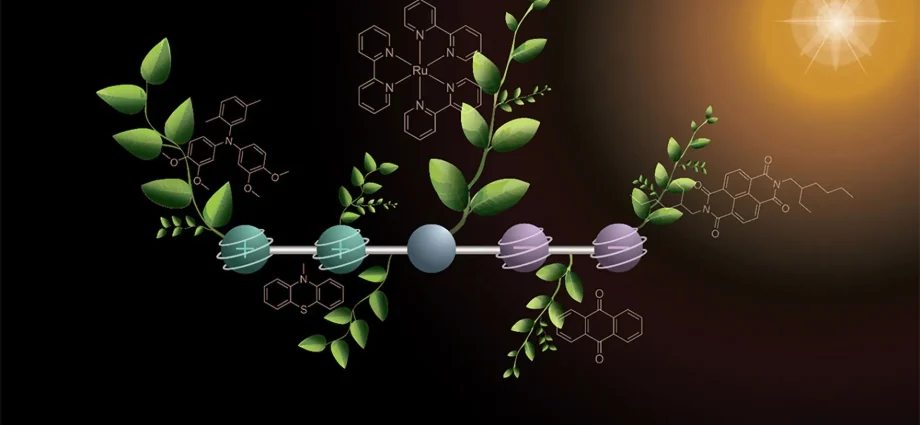 scientists-found-a-new-way-to-turn-sunlight-into-fuel
