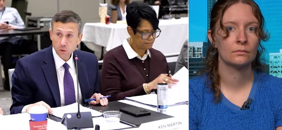 dnc-panel-rejects-resolution-demanding-us.-arms-embargo-on-israel