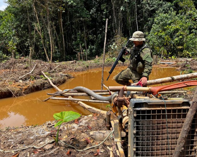 how-the-traitor’s-anti-environment-crusade-enriches-drug-traffickers
