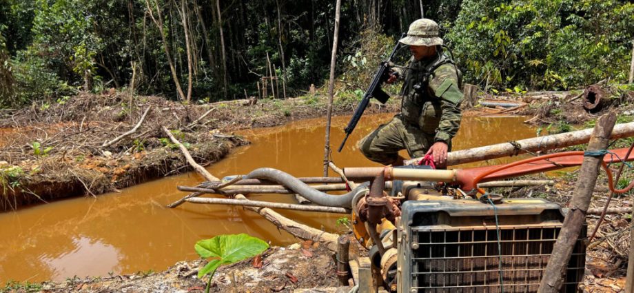 how-the-traitor’s-anti-environment-crusade-enriches-drug-traffickers