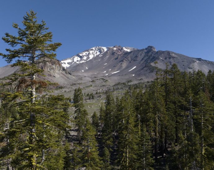 the-traitor-administration-presses-rollback-of-‘roadless-rule’-on-wildlands