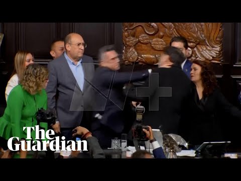 mexico:-fight-breaks-out-between-senators-during-parliamentary-session