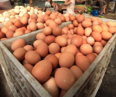 cdc-recalls-brown-eggs-linked-to-nearly-100-cases-of-salmonella