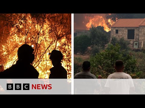 spain-and-portugal-wildfires-drive-worst-eu-season-on-record-|-bbc-news