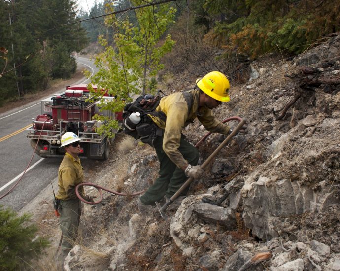 firefighters-tackling-wildfire-in-us-arrested-by-immigration-agents