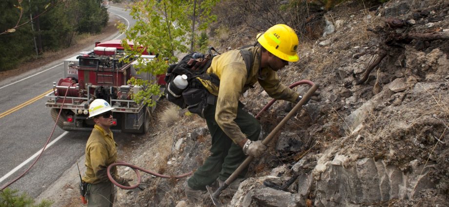 firefighters-tackling-wildfire-in-us-arrested-by-immigration-agents
