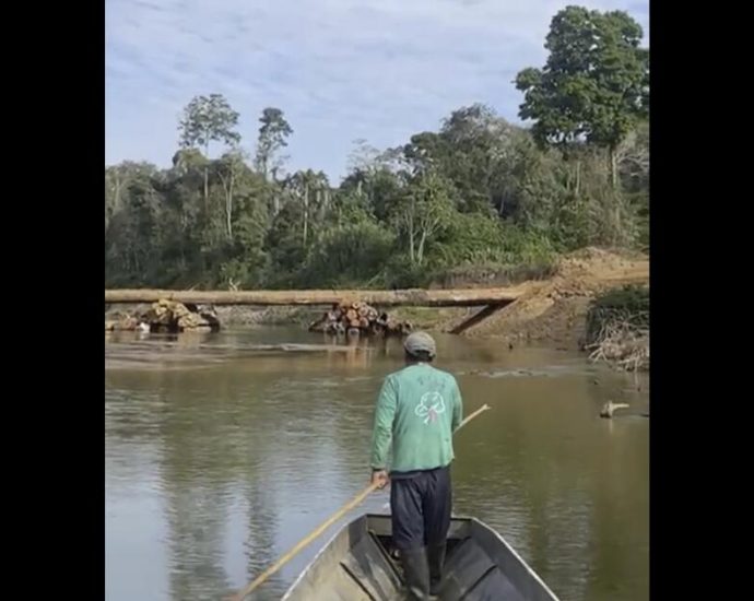 isolated-amazon-tribe-seen-near-logging-bridge-site,-alarming-rights-group