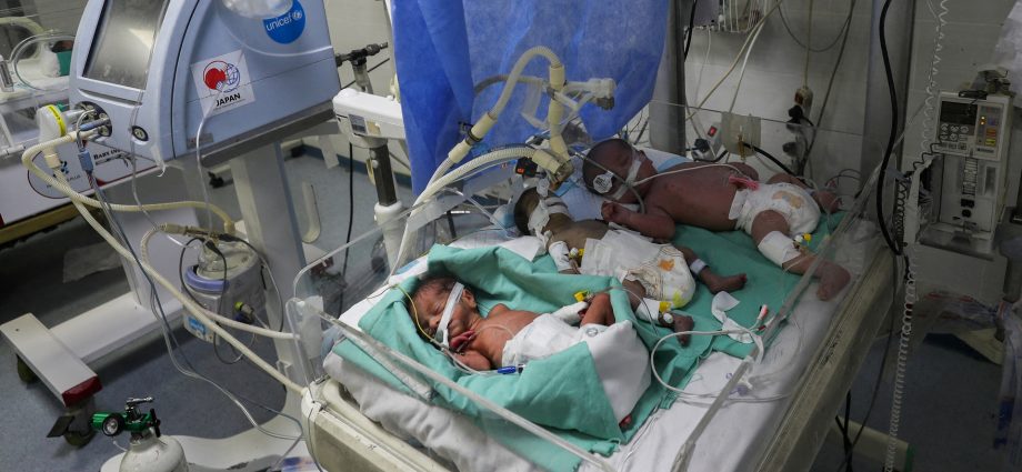 newborns-share-incubator-at-gaza-hospital-overwhelmed-by-famine