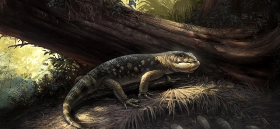 scientists-discover-armored-“goblin-monster”-in-prehistoric-utah