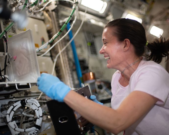 NASA Astronaut Megan McArthur Retires