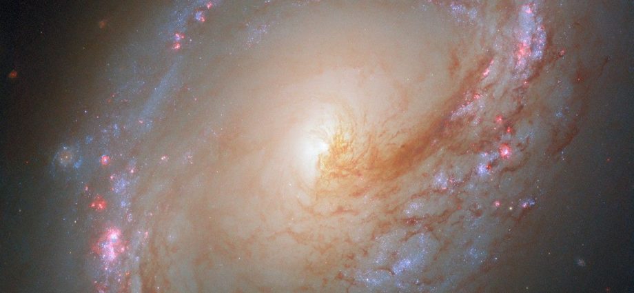 Hubble Homes in on Galaxy’s Star Formation