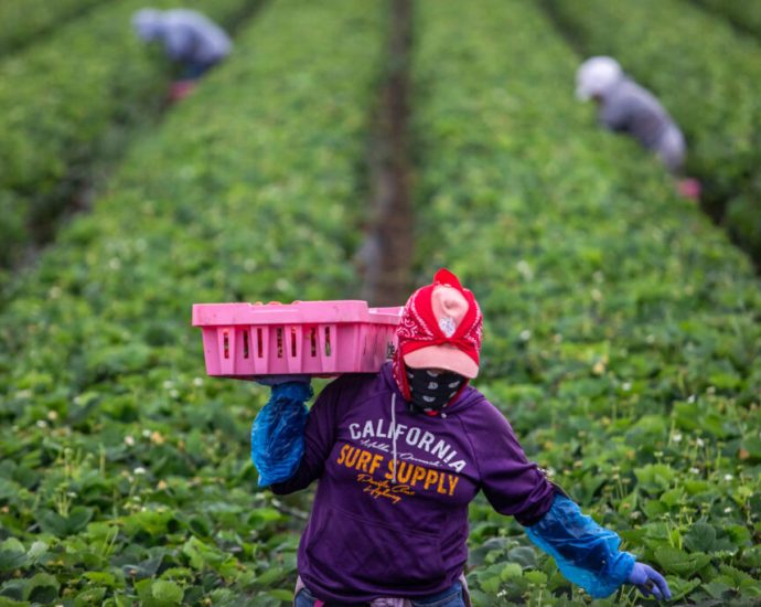 california-updates-pesticide-alert-system