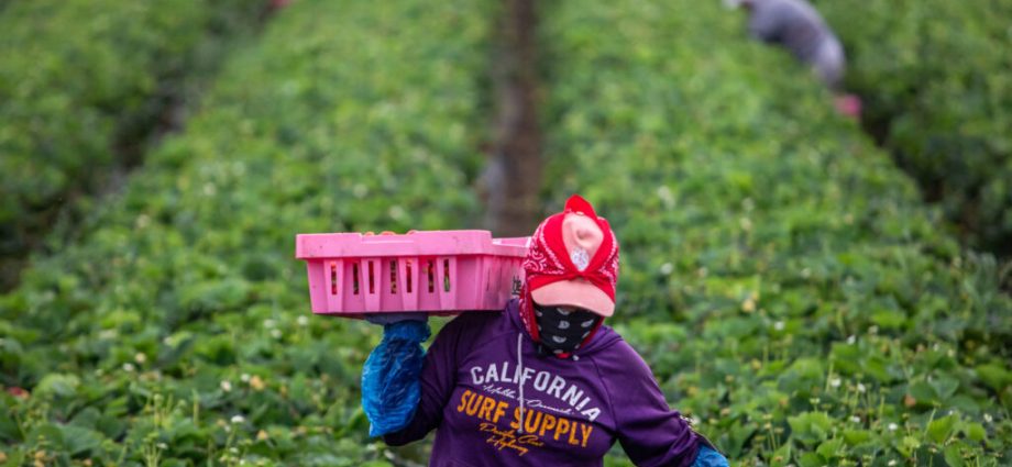 california-updates-pesticide-alert-system