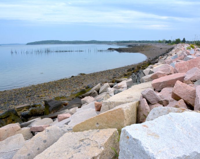 in-far-northeastern-maine,-a-native-community-fights-to-adapt-to-climate-change