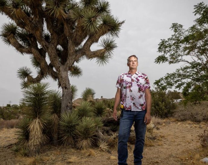 property-owners-recoil-at-cost,-burden-of-joshua-tree-protections