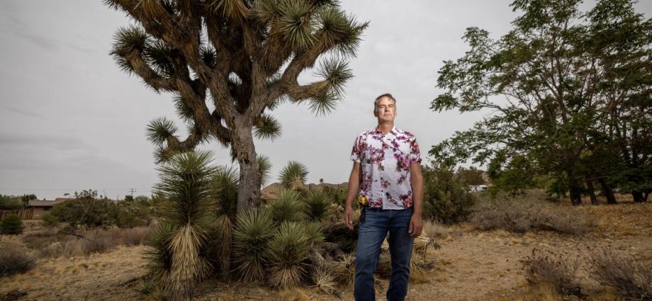 property-owners-recoil-at-cost,-burden-of-joshua-tree-protections