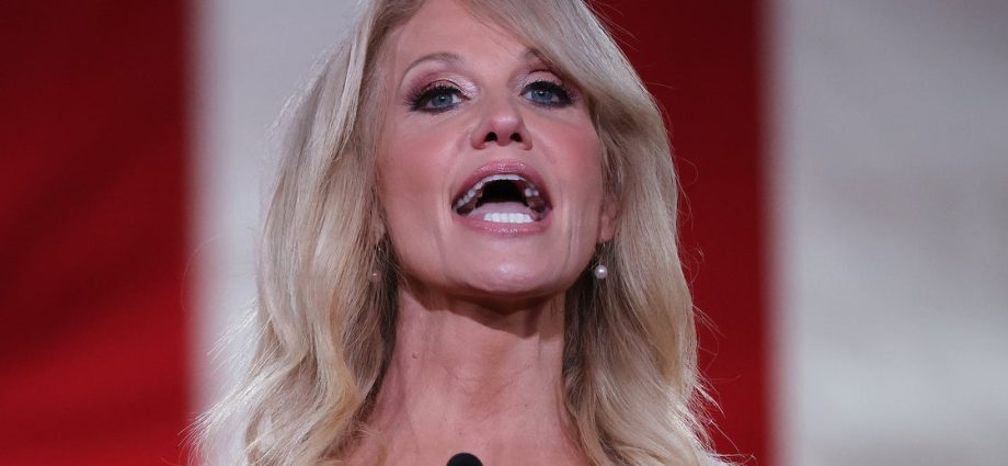 kellyanne-conway-praises-the-traitor-for-taking-over-cultural-institutions:-‘it’s-super-exciting’
