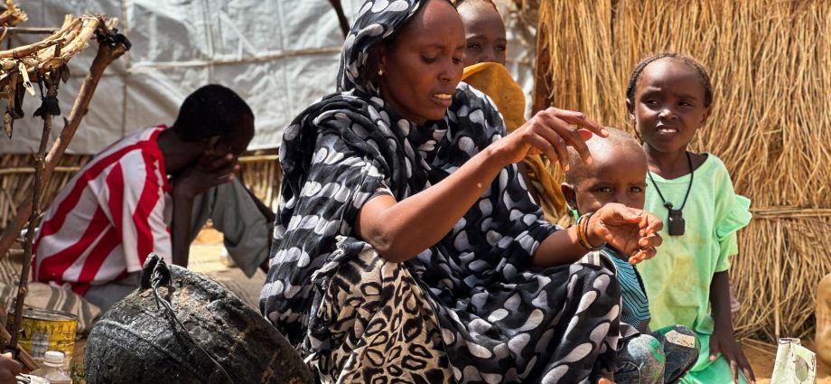war-in-sudan:-humanitarian,-fighting,-control-developments,-august-2025
