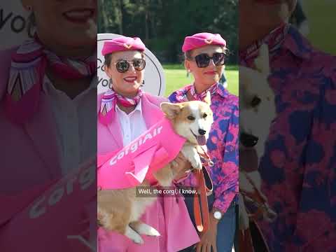 racing-corgi-dogs-show-off-speed-and-style-in-lithuania-contest-|-reuters
