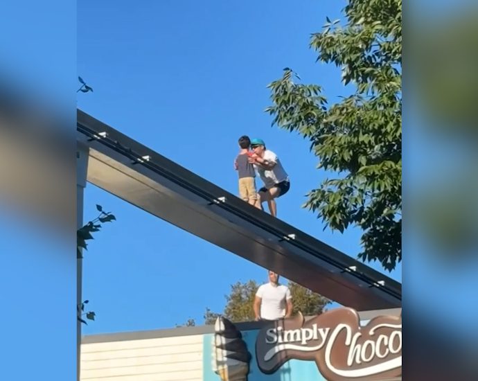 man-saves-boy-from-amusement-park-monorail-track
