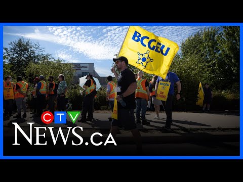 ‘there’s-a-snowball-effect-happening’:-expert-on-bc.-public-service-workers-voting-to-strike
