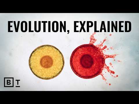 the-history-of-natural-selection,-in-7-minutes-|-paul-nurse