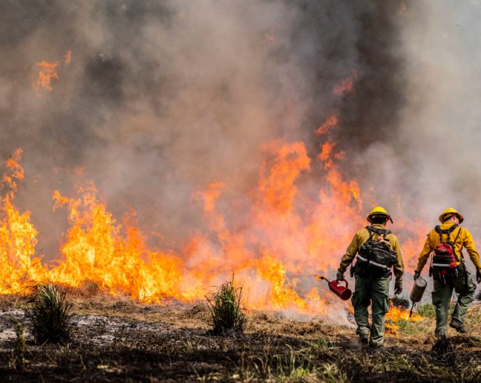 two-firefighters-detained-by-ice