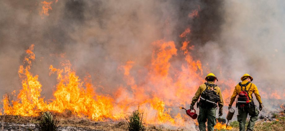 two-firefighters-detained-by-ice