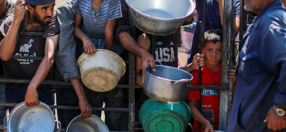 israeli-induced-starvation-in-gaza-kills-185-in-august,-13-more-in-24-hours