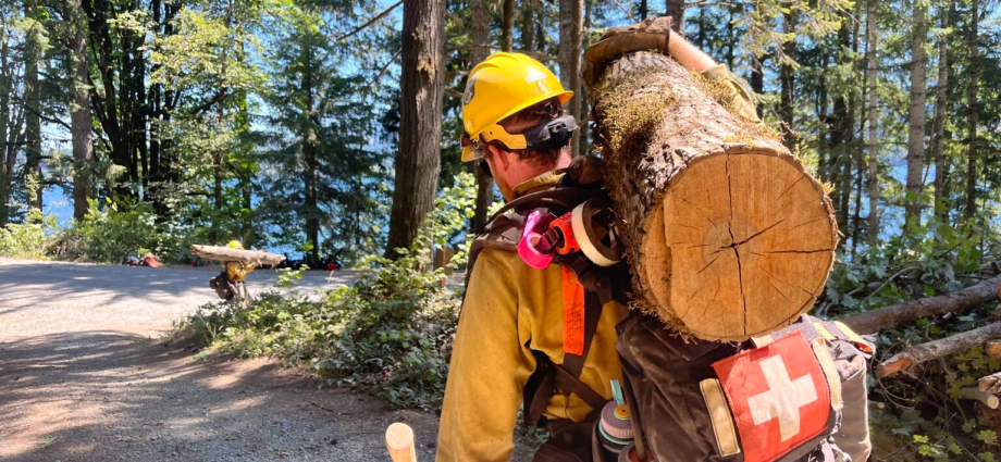 firefighters-question-leaders’-role-in-ice-raid-near-bear-gulch-fire