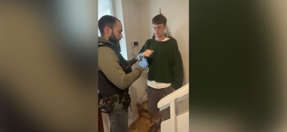 watch-uk-police-arrest-palestine-action-supporter-for-planning-protest