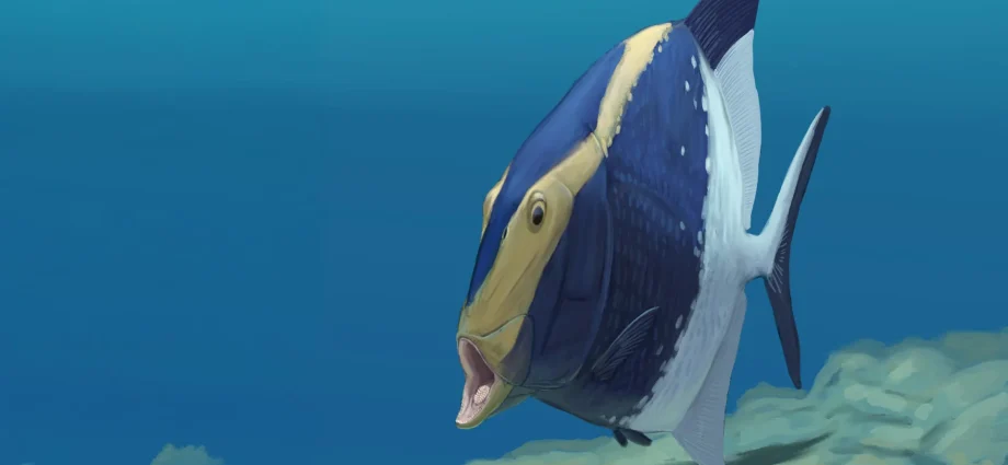 fossil-reveals-a-310-million-year-old-fish-that-ate-with-a-hidden-second-jaw