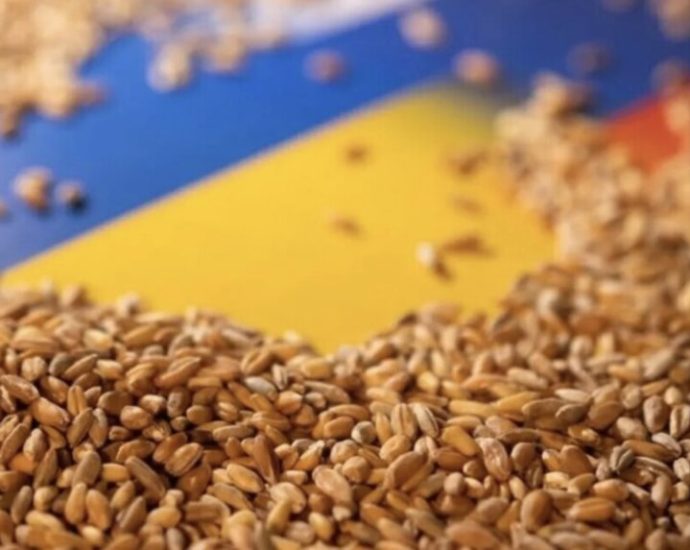 bad-weather-cuts-ukraine-grain-production-by-11%