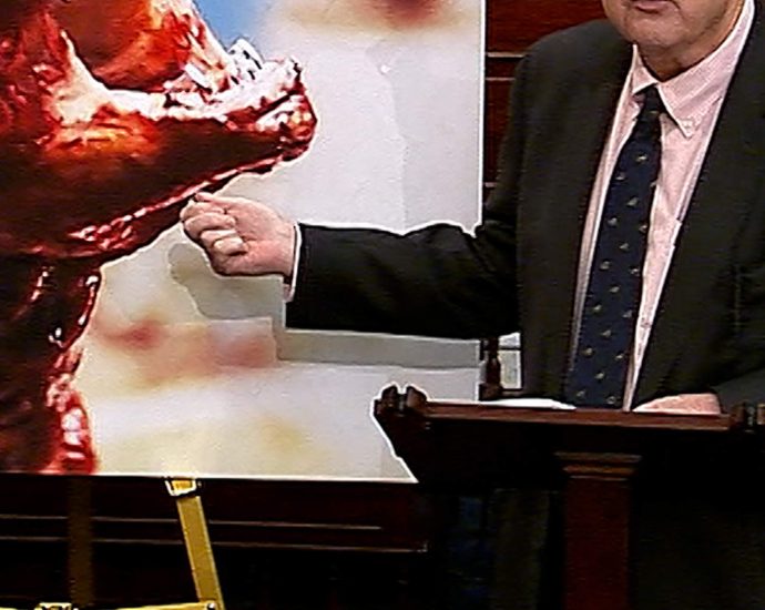 senator-makes-‘alien’-claims-about-radioactive-shrimp