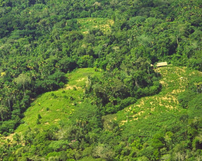 peru-votes-against-creating-new-indigenous-reserve-in-amazon-region