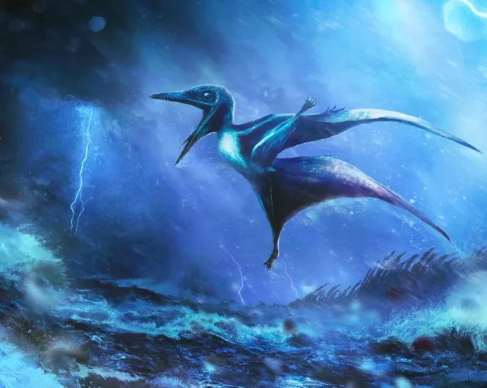 baby-pterosaurs-died-in-ancient-storms—and-their-fossils-reveal-the-truth