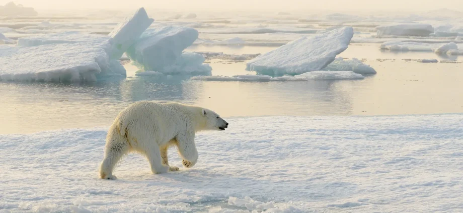 satellites-confirm-1990s-sea-level-predictions-were-shockingly-accurate
