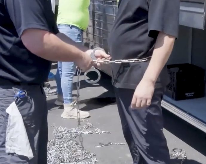 over-300-south-koreans-to-return-home-after-arrests-at-us-hyundai-plant