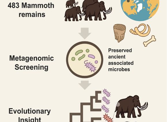 World’s Oldest Host-Associated Microbial DNA Obtained from Ancient Mammoth Remains