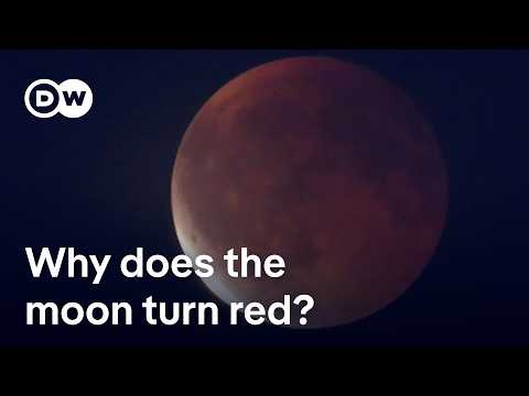 “blood-moon”-mesmerizes-stargazers-across-the-world-during-total-lunar-eclipse-|-dw-news