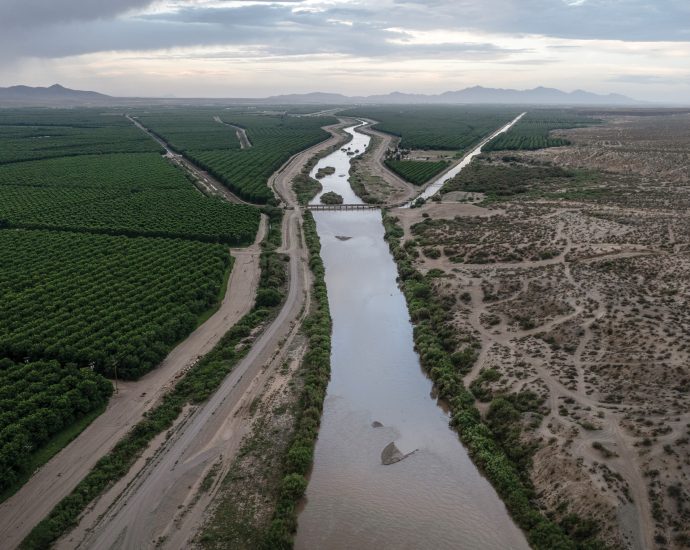 the-rio-grande’s-pecan-problem