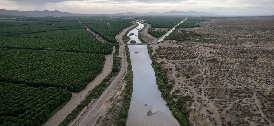 the-rio-grande’s-pecan-problem