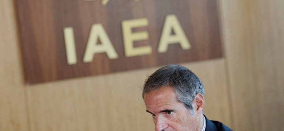 iaea-chief-notes-progress-in-iran-talks-over-nuclear-site-inspections