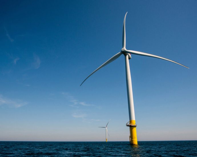 the-whimbrel-and-the-wind-turbines:-capable-of-coexistence?
