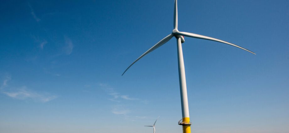 the-whimbrel-and-the-wind-turbines:-capable-of-coexistence?